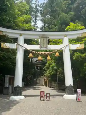 宝登山神社(埼玉県)