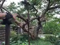 補陀洛寺(神奈川県)