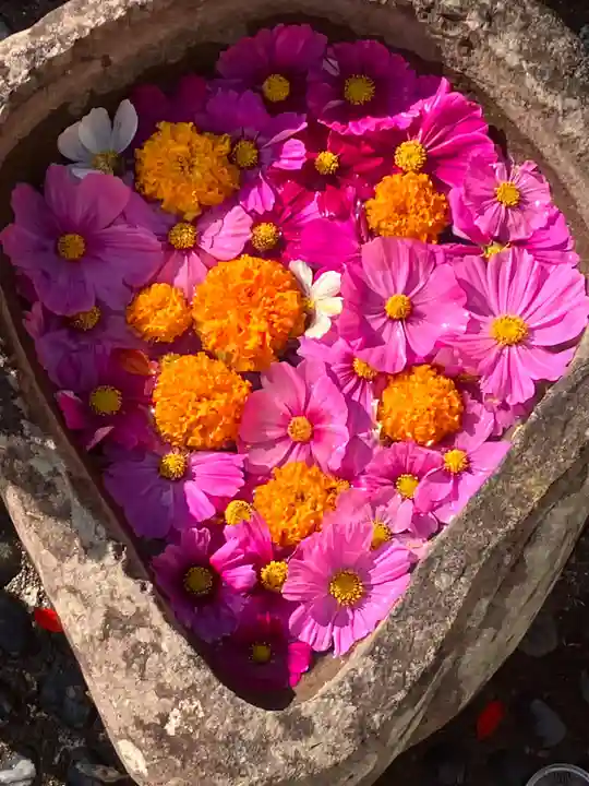 真言宗 善通寺派 薬王寺(香川県)