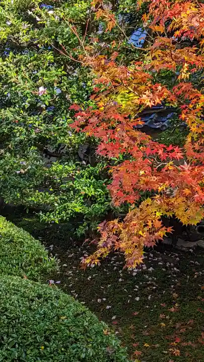 雲龍院(京都府)