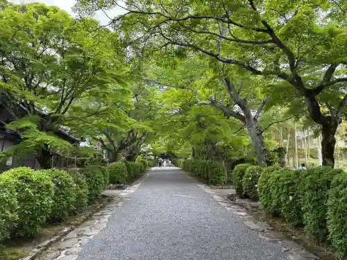 西教寺の{uncategorized: "未分類", other: "その他", undefined: "問題あり", building: "その他建物", grave: "お墓", sacred_gate: "鳥居", guardian: "狛犬", statue: "像", buddha: "仏像", history: "歴史", nature: "自然", garden: "庭園", animal: "動物", pagoda: "塔", temizu: "手水舎", mountain_gate: "山門・神門", sanctuary: "本殿・本堂", subordinate: "末社・摂社", art: "芸術", scenery: "景色", jizo: "地蔵", ema: "絵馬", goshuin: "御朱印", omikuji: "おみくじ", items: "授与品その他", amulet: "お守り", goshuincho: "御朱印帳", eats: "食事", festival: "お祭り", votive_dance: "神楽", shichigosan: "七五三参", wedding: "結婚式", experience: "体験その他", initially: "初詣", around: "周辺", anti_infection: "感染症対策"}