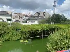 亀戸天神社(東京都)