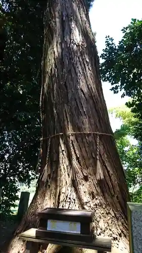 南宮神社の自然