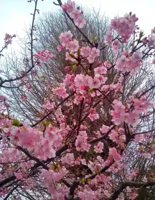 叶神社 (西叶神社)(神奈川県)