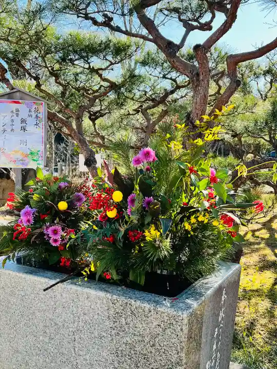 茨城縣護國神社(茨城県)