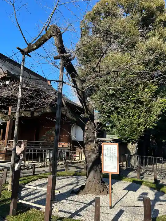 靖國神社(東京都)