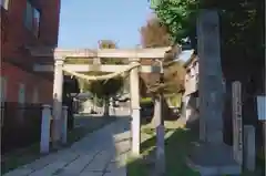 八雲神社 (通五丁目)の鳥居