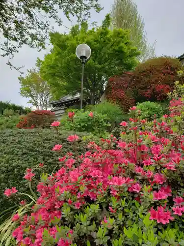 神足寺(東京都)