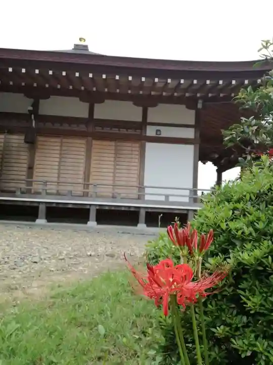 一乗院(開運出世筑波不動尊) の本殿・本堂