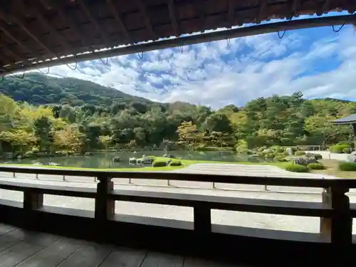 天龍寺の庭園