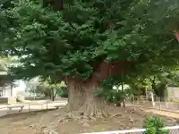 千葉寺(千葉県)