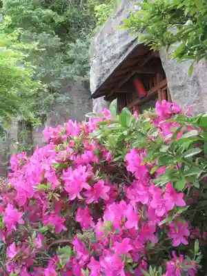 英勝寺(神奈川県)