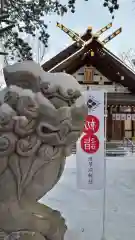 新琴似神社の狛犬