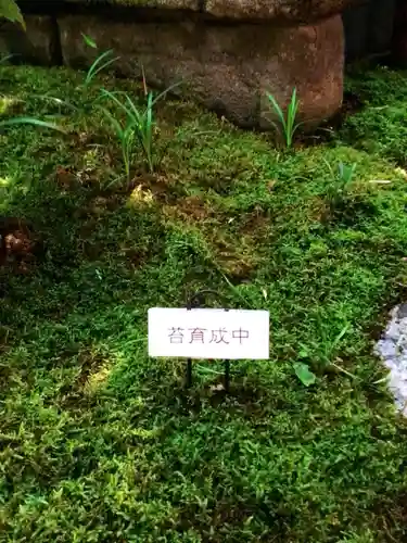 陽運寺(東京都)