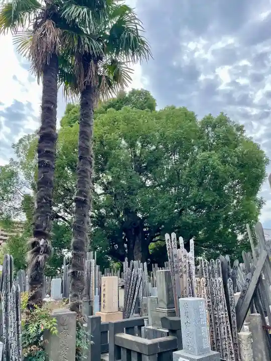 妙雲寺(東京都)