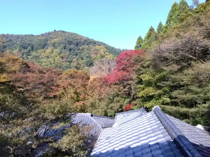 光明寺瑠璃光院(京都府)