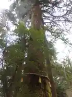 箱根神社(神奈川県)