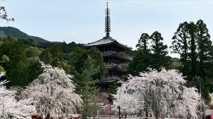 醍醐寺(京都府)