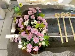 彌彦神社　(伊夜日子神社)(北海道)