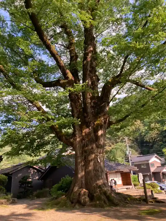 石部神社の自然