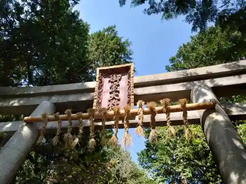 冨士御室浅間神社の鳥居