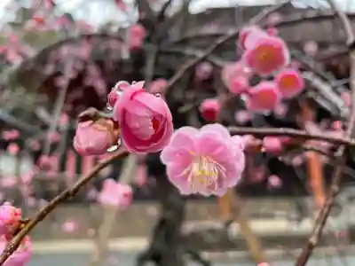 宝城坊(神奈川県)