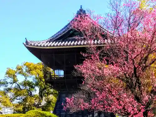 建中寺のその他建物