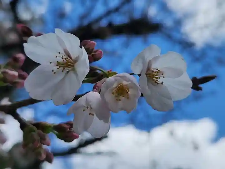 皇子神社(兵庫県)