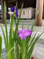 和泉國一之宮 大鳥大社のその他建物