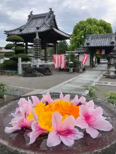 真言宗　善通寺派　薬王寺(香川県)