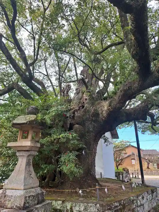 藤厳神社(闘鶏神社境内社)(和歌山県)