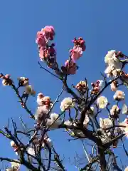 大生郷天満宮の自然