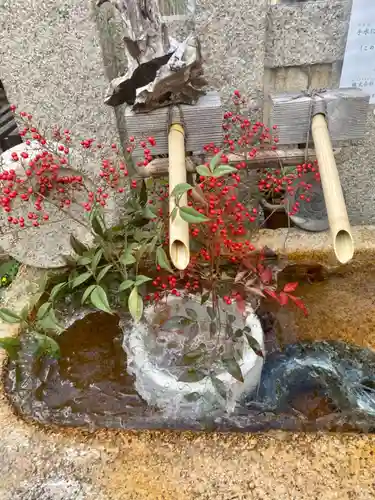 金札宮の手水舎