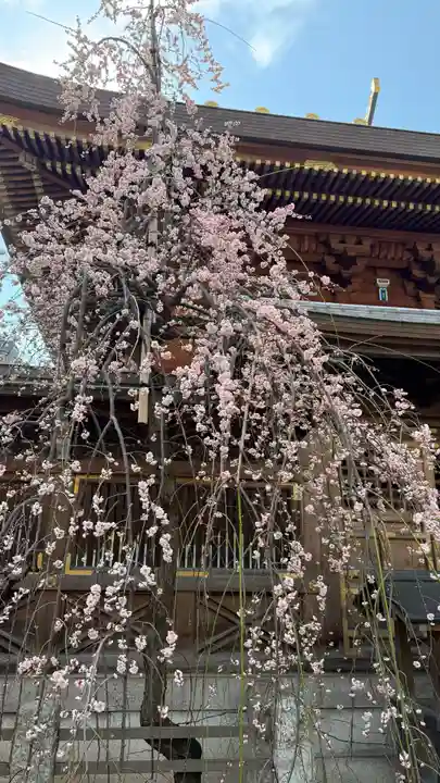 湯島天満宮(東京都)
