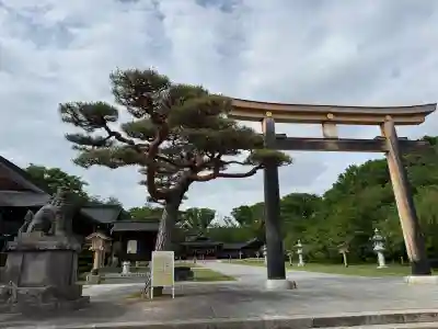長野縣護國神社(長野県)
