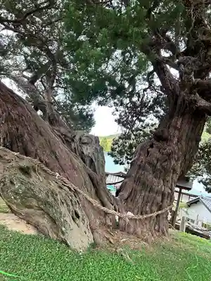 寶生院(香川県)