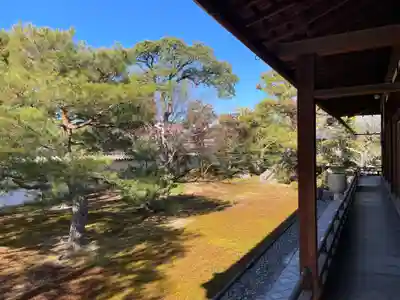 相国寺（相国承天禅寺）(京都府)