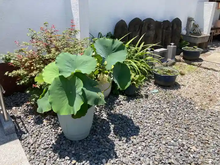 薬王寺(神奈川県)