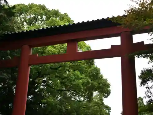 武蔵一宮氷川神社の鳥居