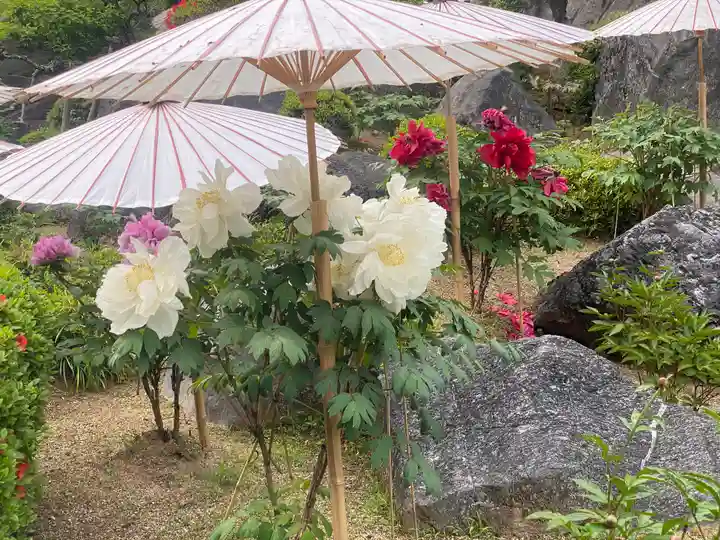 當麻寺 奥院(奈良県)