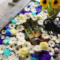 札幌諏訪神社の手水舎