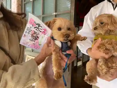 千代ケ岡八幡宮(栃木県)