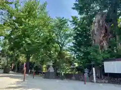 諏訪神社(鹿児島県)