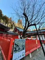 金櫻神社(山梨県)