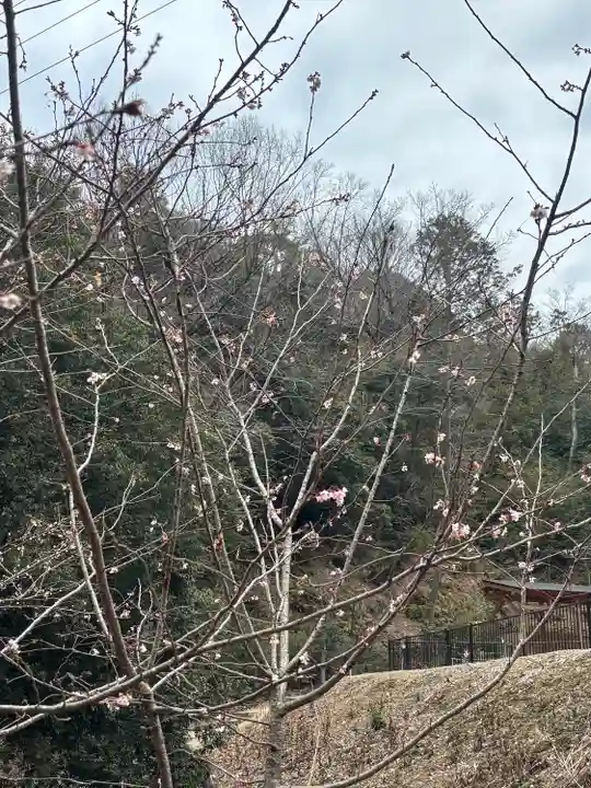 大縣神社(愛知県)