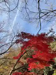 長盛山松久禅寺の自然