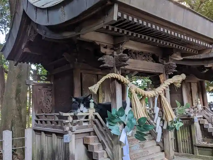 八幡社(柏井町)の動物