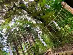 眞名井神社（籠神社奥宮）(京都府)