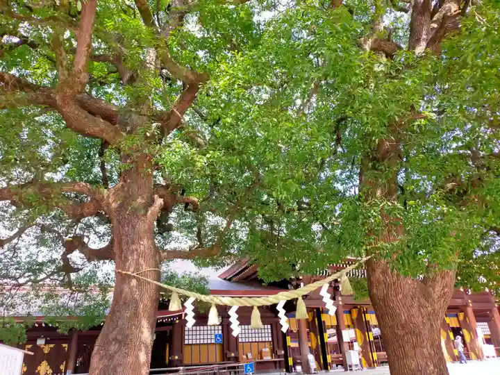 明治神宮(東京都)