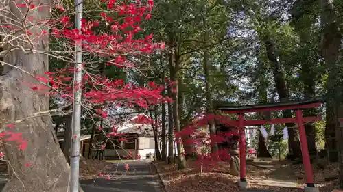 彌伽宜神社(京都府)